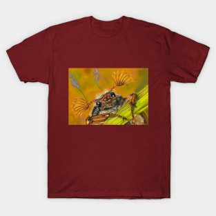 Maybug T-Shirt